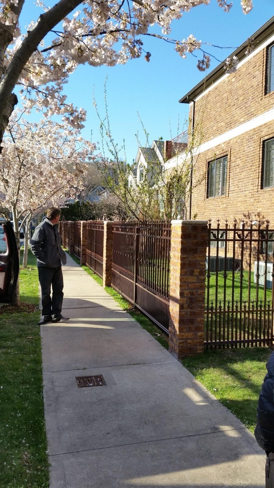 Ornamental Aluminum Fence Install with Custom Gate Work