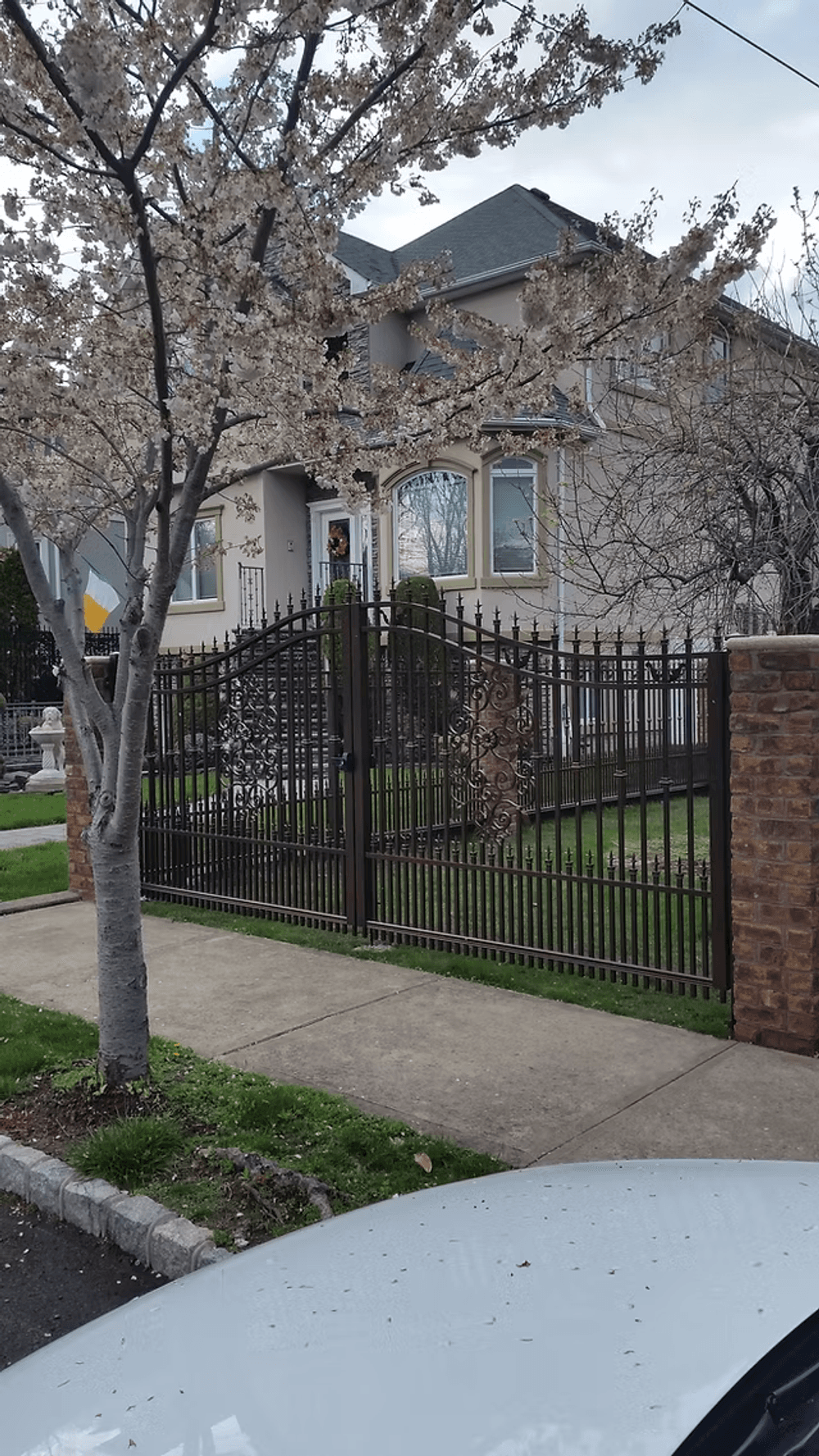 Cherry blossom tree in front of ornate metal gate at a residential home.