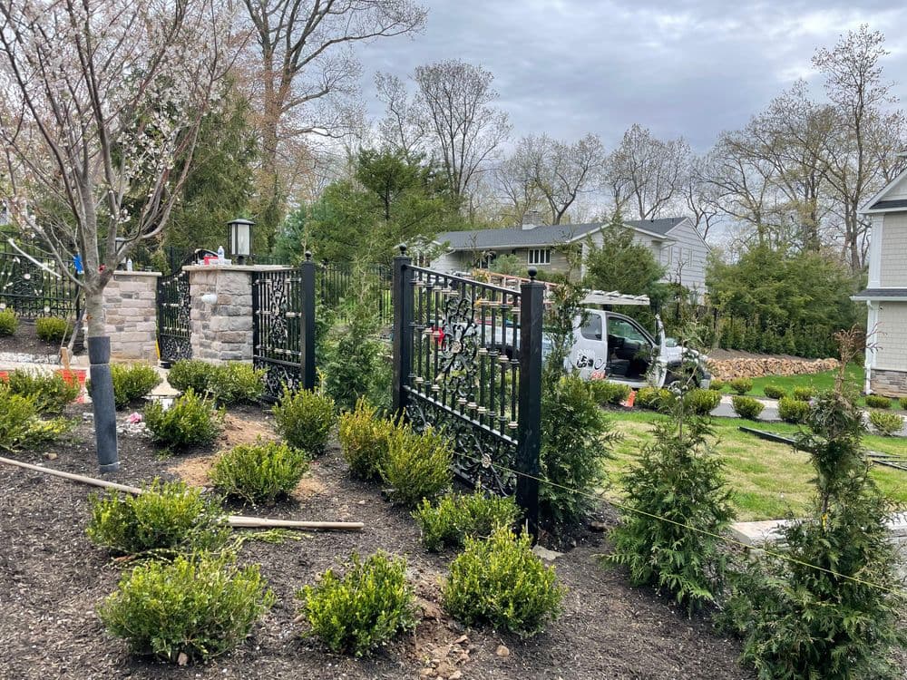 Elegant wrought iron gates flanked by neatly trimmed shrubs and trees in a landscaped yard.